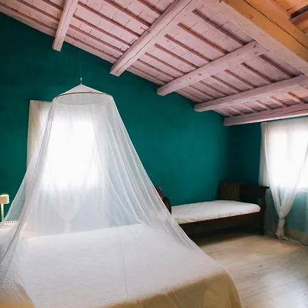 Turchi Farm - Della Luna & Antico Frantoio